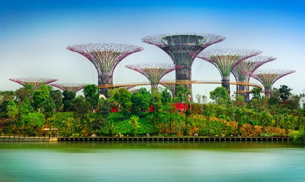 garden by the bay, tour singapore, wisata singapore