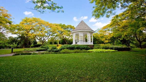 singapore botanic Gardens, tour singapore, wisata singapore