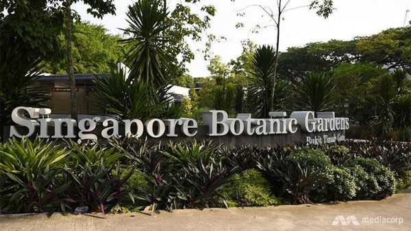 singapore botanic garden, tour singapore, tempat wisata di singapore, wisata murah ke singapore